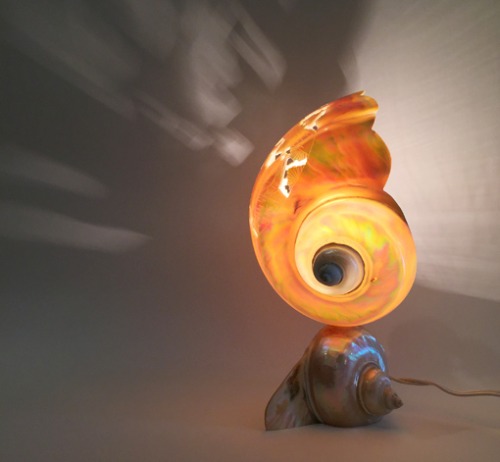 [U.S.A]ANTIQUE ORIGINAL BIG CONCH SHELL CARVED DESK LAMP(소라게 램프).