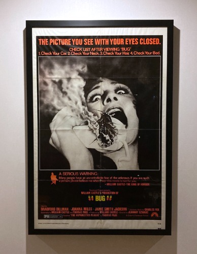 [U.S.A]70s &quot;BUG(독충)&quot; movie original big size poster frame.